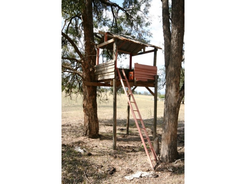 Mudgee NSW 2850