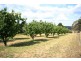 Mudgee NSW 2850