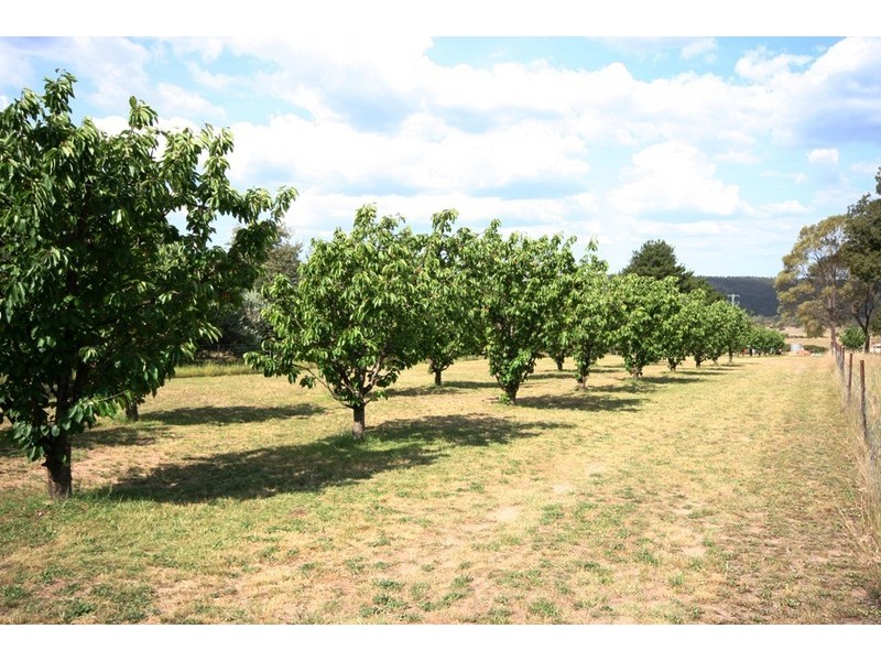 Mudgee NSW 2850
