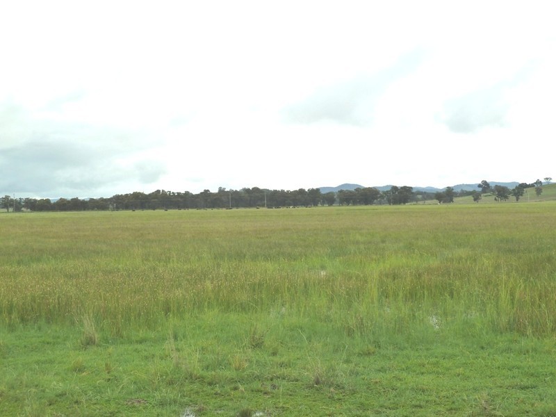 Gulgong NSW 2852