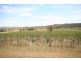 Mudgee NSW 2850