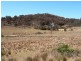 Carcalgong NSW 2850