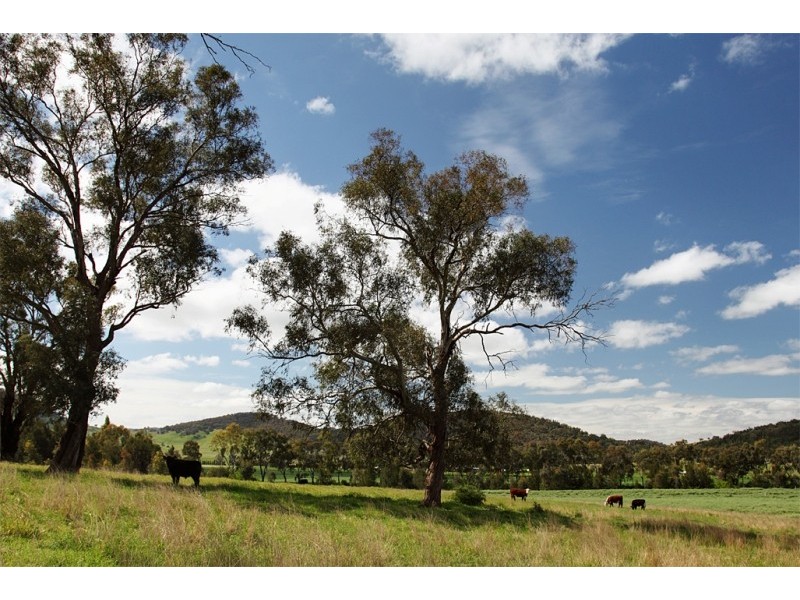 Mudgee NSW 2850