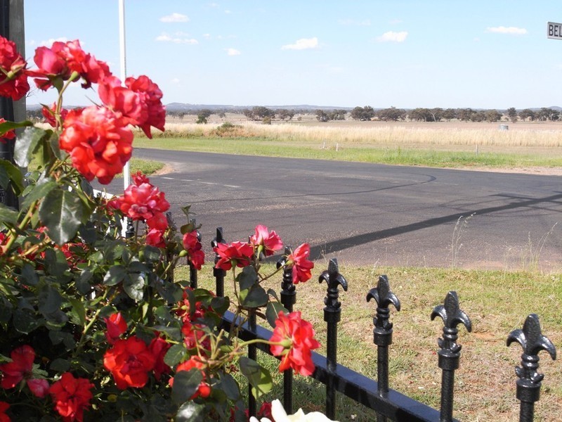 Gulgong NSW 2852