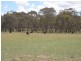 Cooyal NSW 2850