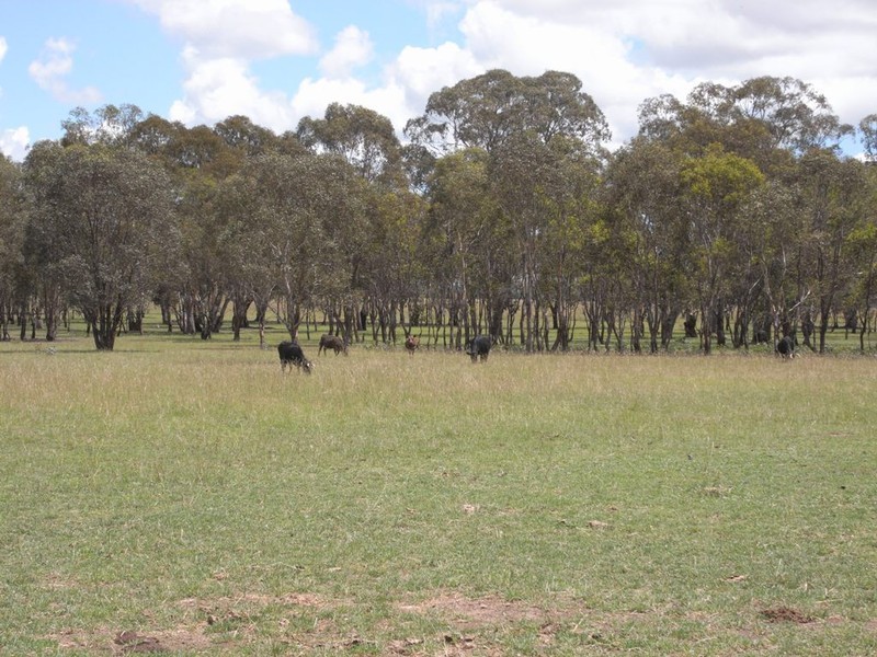 Cooyal NSW 2850