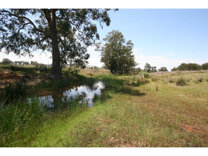 Turill NSW 2850