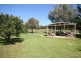 Mudgee NSW 2850