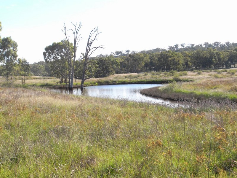 Mudgee NSW 2850