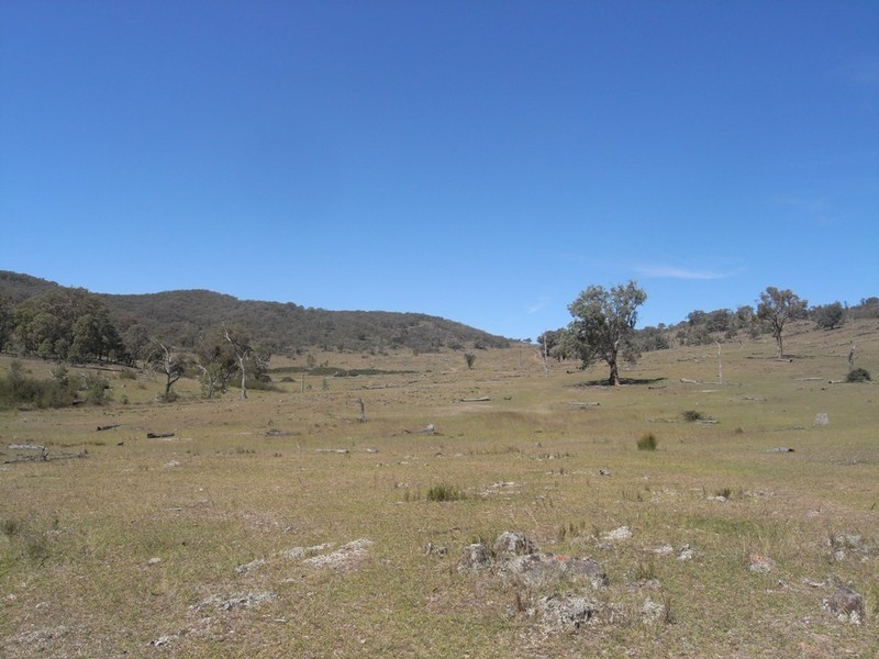 Hargraves NSW 2850