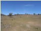 Hargraves NSW 2850
