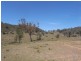 Hargraves NSW 2850