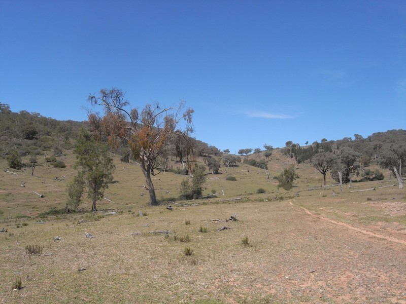 Hargraves NSW 2850