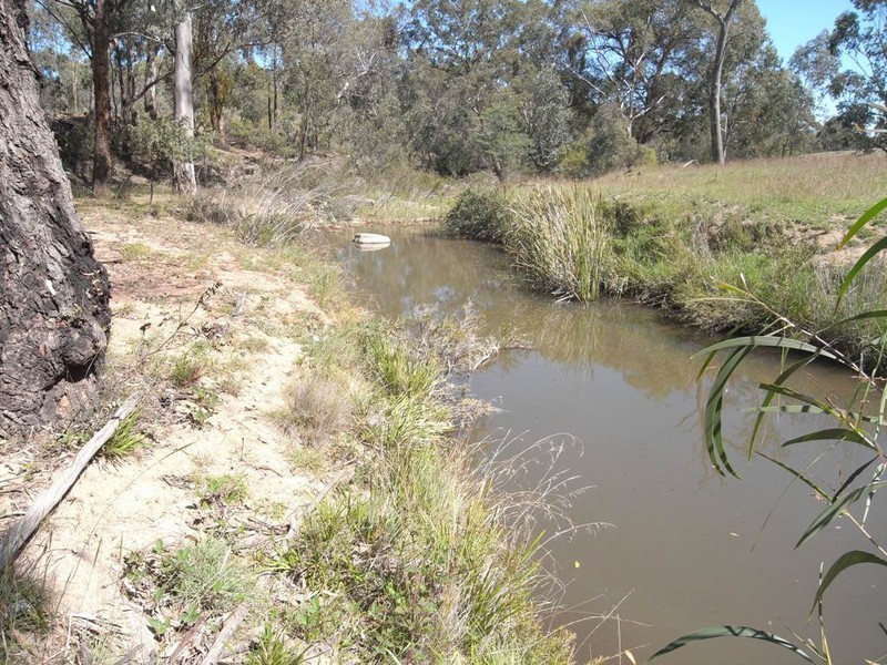 Hargraves NSW 2850