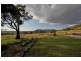 Mudgee NSW 2850