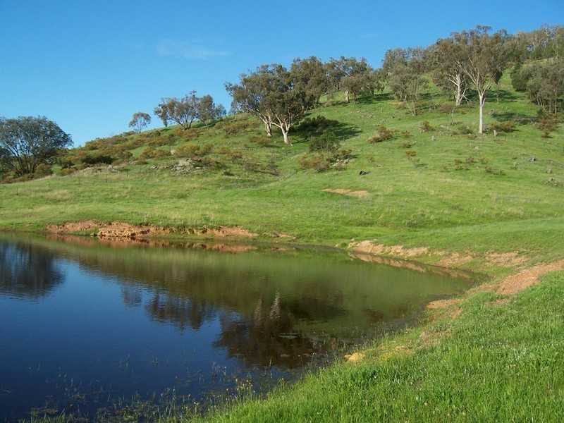 Mudgee NSW 2850