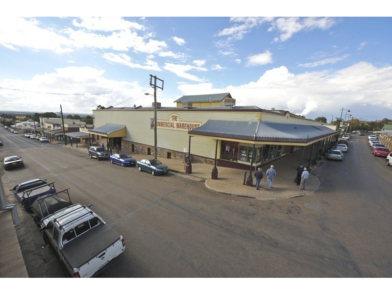 102 Mayne Street, Gulgong NSW 2852