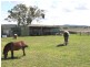 Gulgong NSW 2852