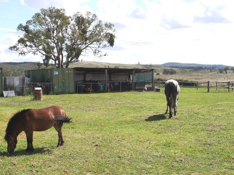 Gulgong NSW 2852