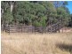 Gulgong NSW 2852