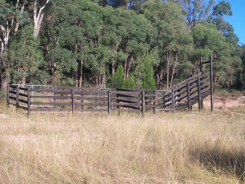 Gulgong NSW 2852