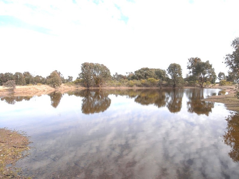 Mudgee NSW 2850