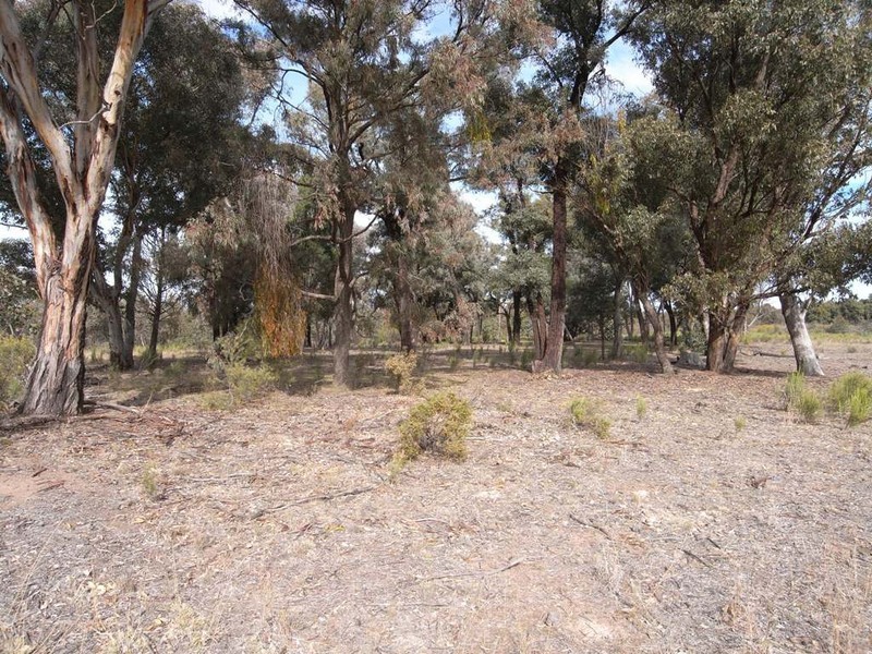 Mudgee NSW 2850