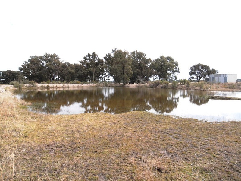 Mudgee NSW 2850