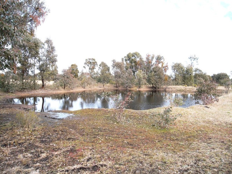 Mudgee NSW 2850