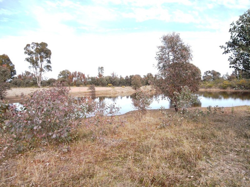 Mudgee NSW 2850