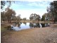 Mudgee NSW 2850