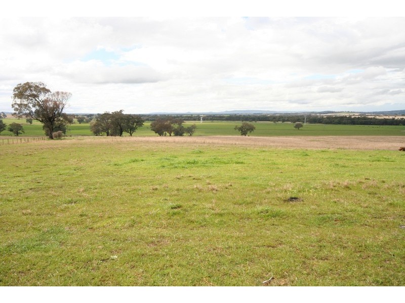 Gulgong NSW 2852