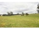 Gulgong NSW 2852