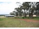 Gulgong NSW 2852