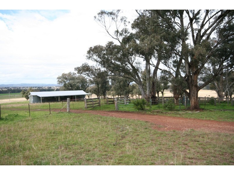 Gulgong NSW 2852