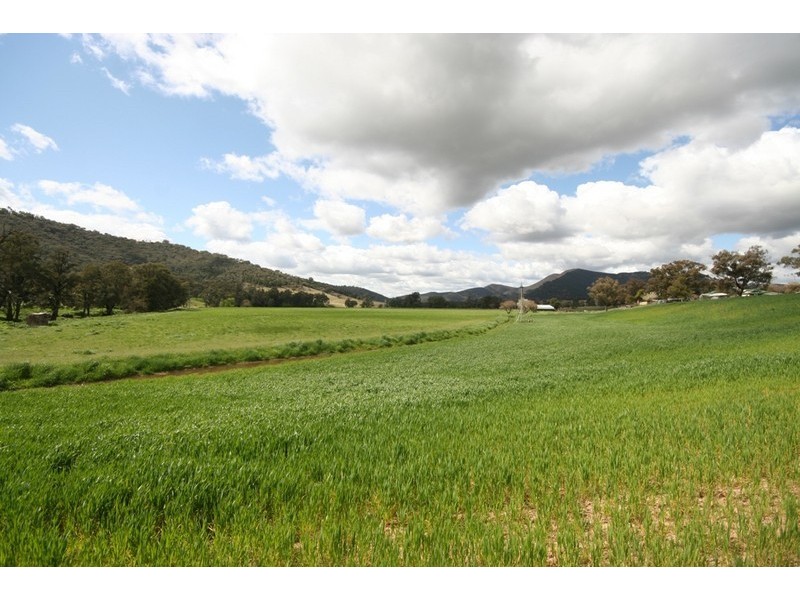 Mudgee NSW 2850