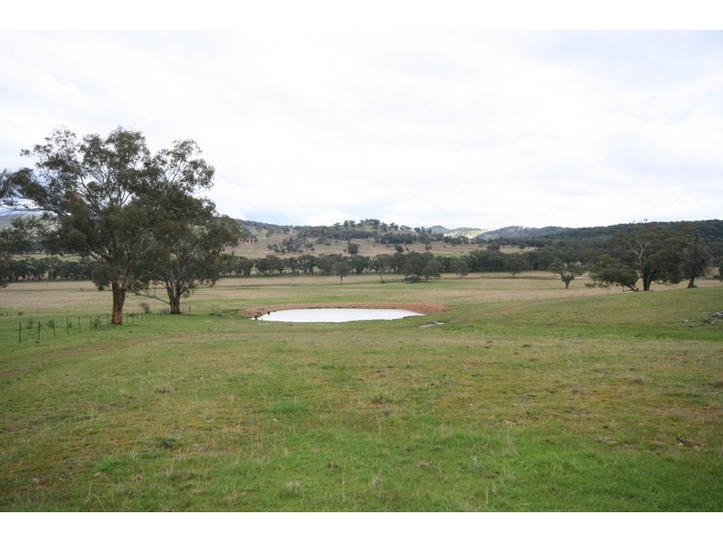 Gulgong NSW 2852