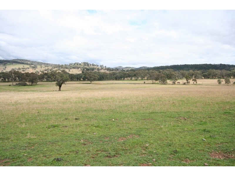 Gulgong NSW 2852