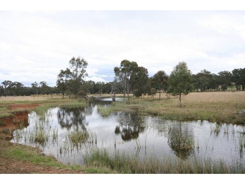 Gulgong NSW 2852