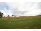 Gulgong NSW 2852