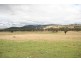 Gulgong NSW 2852