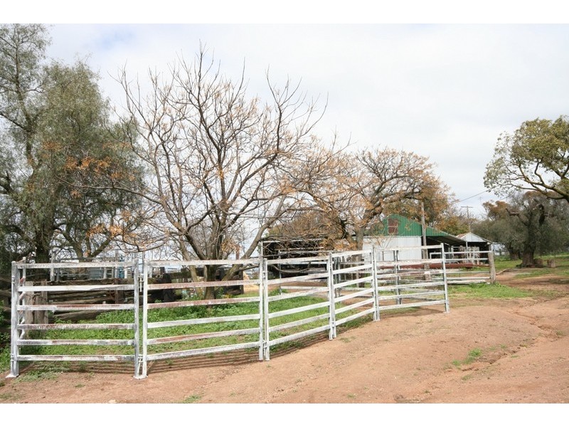 Gulgong NSW 2852