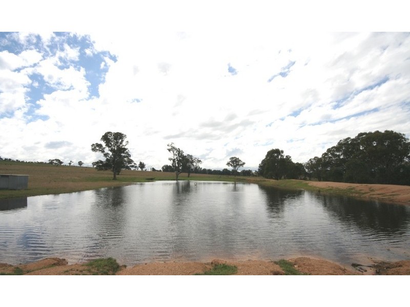Gulgong NSW 2852