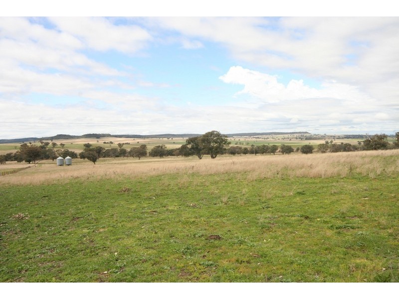 Gulgong NSW 2852