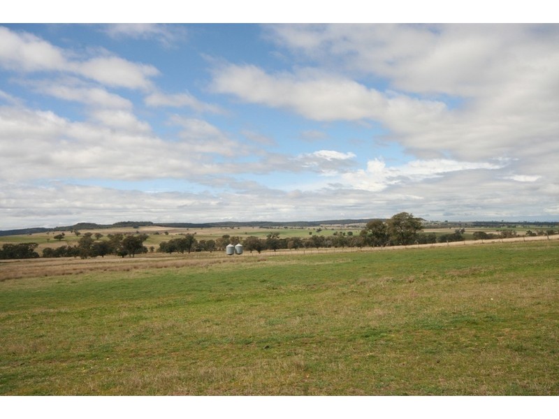Gulgong NSW 2852