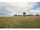 Gulgong NSW 2852