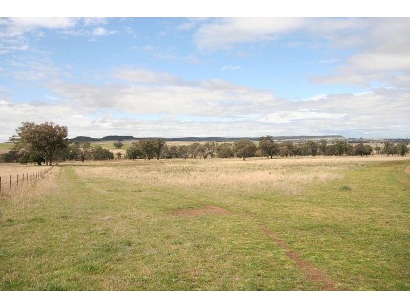 Gulgong NSW 2852