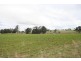 Gulgong NSW 2852