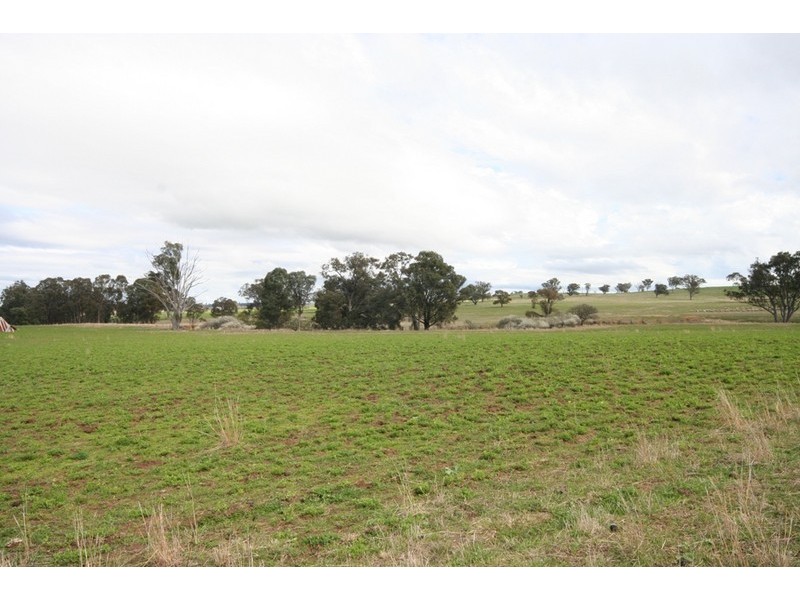 Gulgong NSW 2852