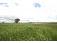 Gulgong NSW 2852